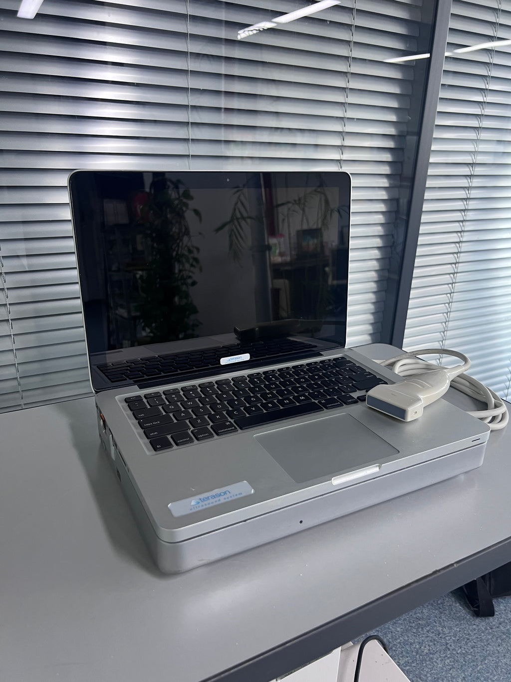Terason 2000 Ultrasound System